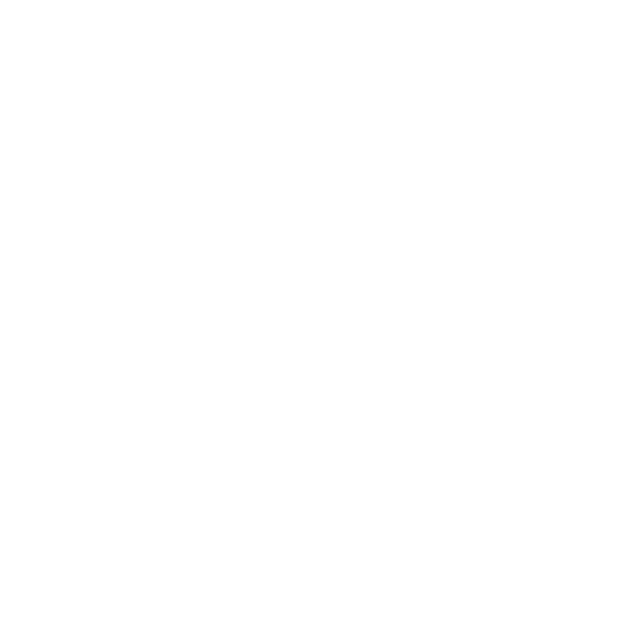 SSN Logo